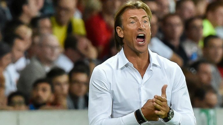 Herve Reinard Turns Down Chance To Replace Rohr As Super Eagles Coach, Keen On Coaching Zambia Again