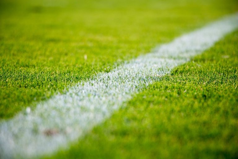 Nigeria and the Cup of Nations