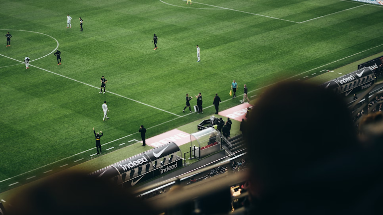 Should Beginners Use Ready-Made Betting Predictions?
