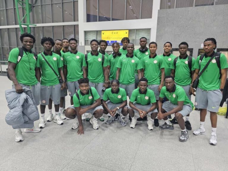 Applicant For Nigeria National Team Job Shade NFF Chief Who Can’t Speak English