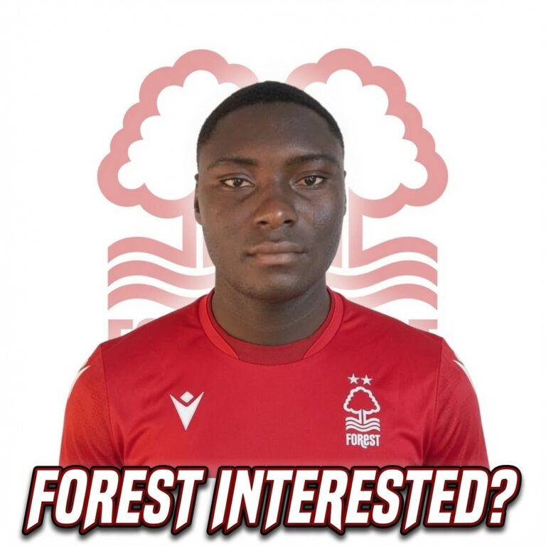 Nottingham Forest Eyes Nigeria U20 Forward Dubbed ” New Haaland”